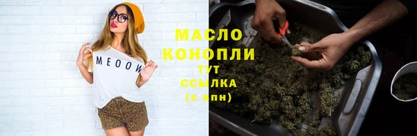 прущая мука Вяземский