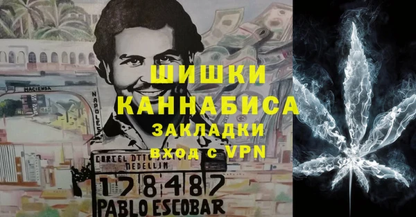 мдпв Володарск