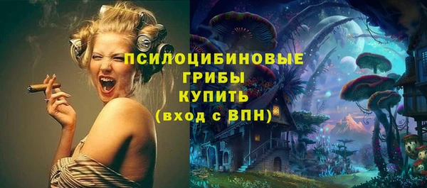 мдпв Володарск