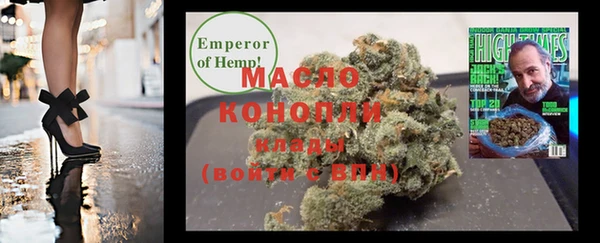 прущая мука Вяземский
