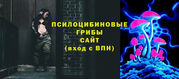 прущая мука Вяземский
